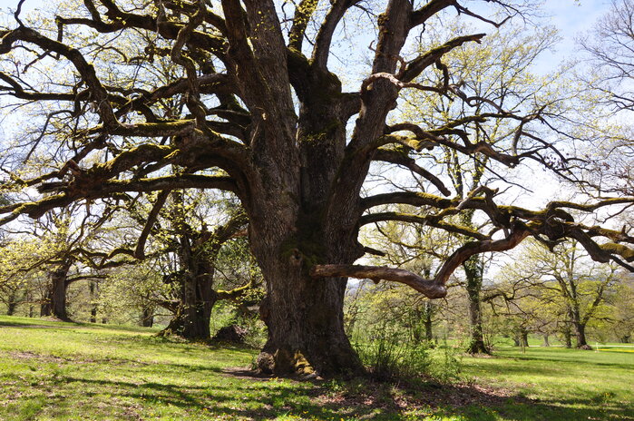 Foto, Text: Roland Lüthi