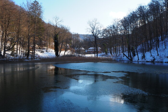 Foto: Nora Kaiser-Hungerbühler