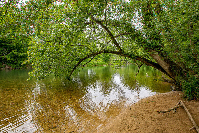 Foto: Jan Geerk/kantlicht.ch