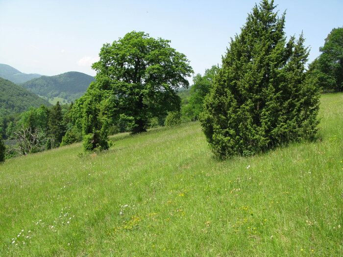 Foto: Michael Dipner