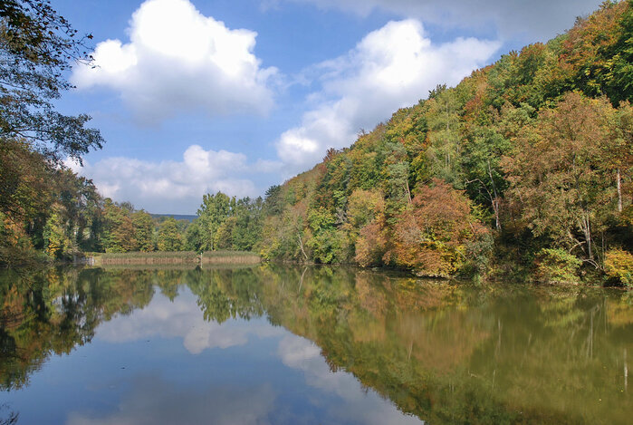 Foto: Kurt Ritschard