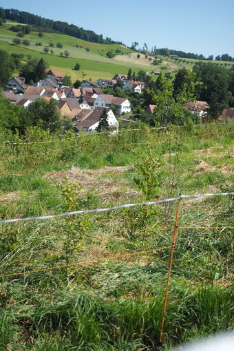 Foto: Nora Kaiser