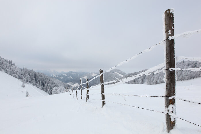 Foto: flickr.com/Andreina Schoeberlein