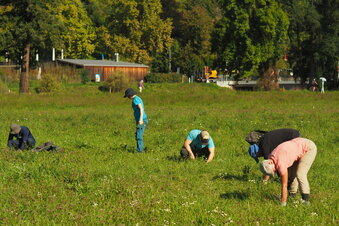 Foto: Nora Kaiser
