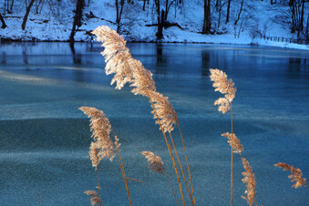 Foto: Nora Kaiser-Hungerbühler