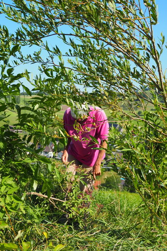 Foto: Nora Kaiser