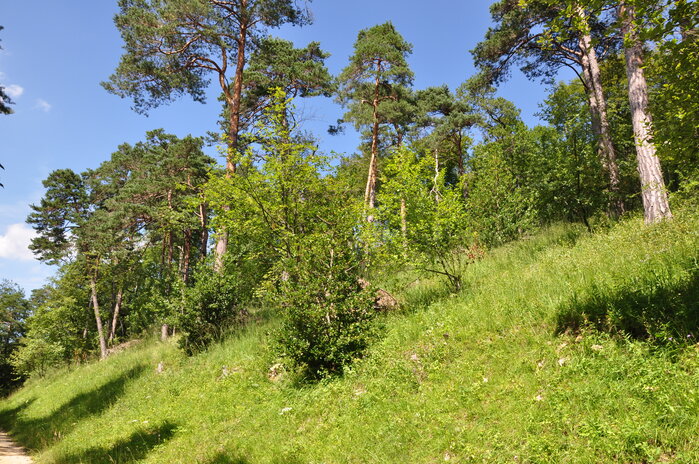 Foto, Text: Roland Lüthi