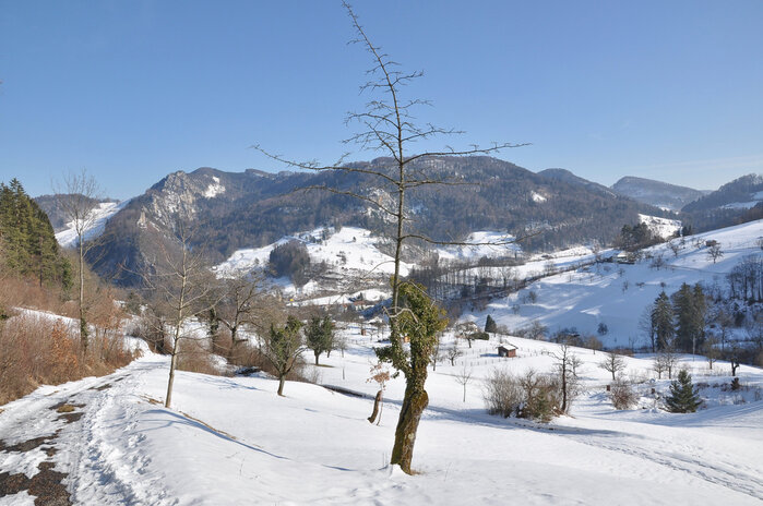 Foto: Kurt Ritschard