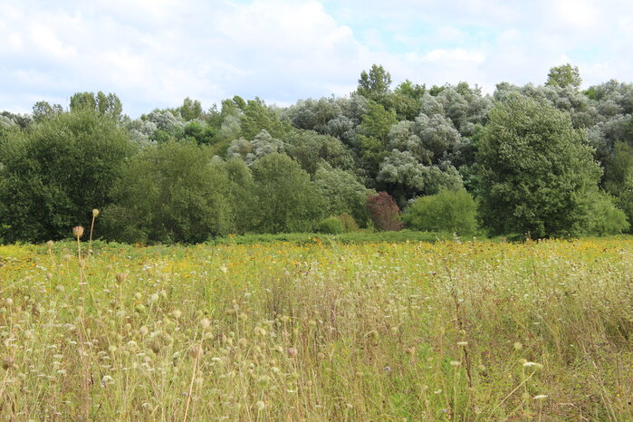 Foto: Jost Müller Vernier