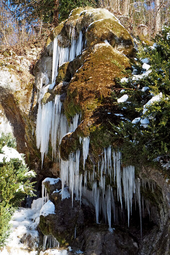 Foto: Nora Kaiser-Hungerbühler