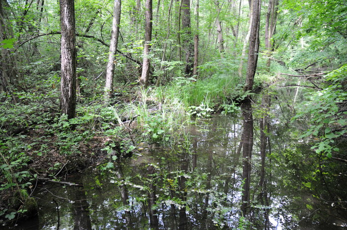 Foto und Text: Daniel Küry
