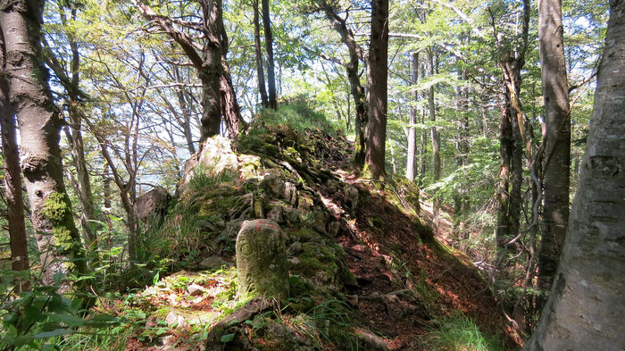 Foto: Kurt Ritschard