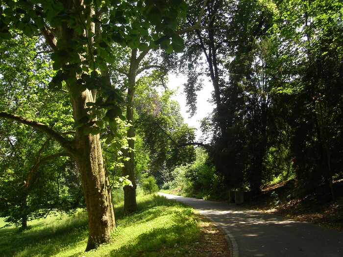 Foto: Dorothea de Gruyter