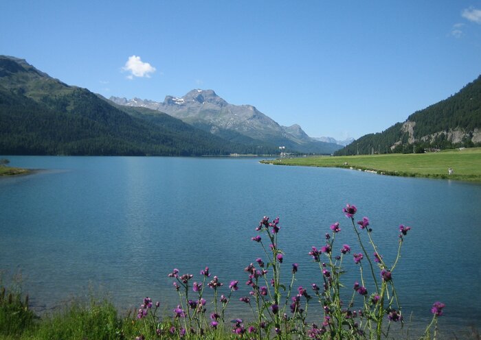 Foto: ADRIAN MICHAEL/WIKIMEDIA COMMONS