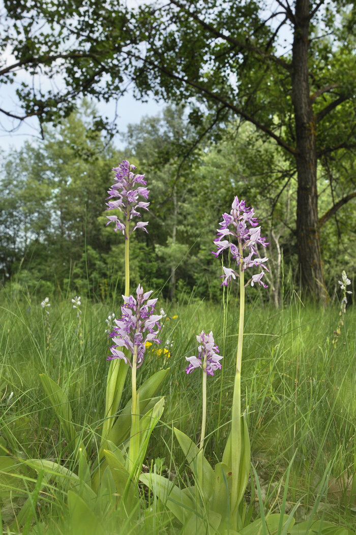 Bildnachweis: EMPUSA/ISTOCK/THINKSTOCK.DE