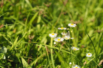 Foto: Nora Kaiser