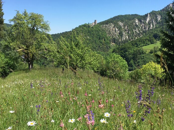 Bildnachweis: MARCEL AMSTUTZ