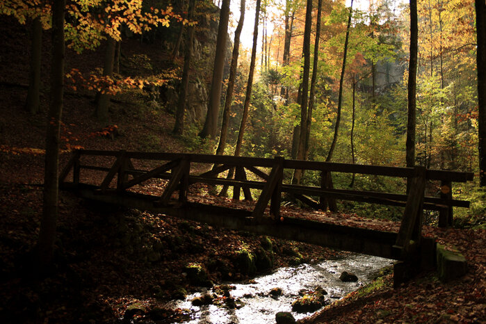 Foto: flickr.com/Thomas