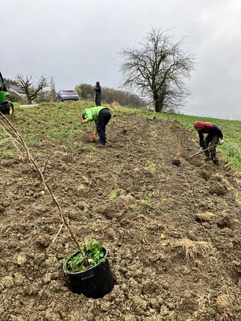 Foto: Nora Kaiser, WWF Region Basel